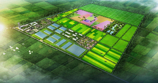 image004.gif